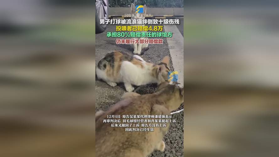 香港澳门 第54页