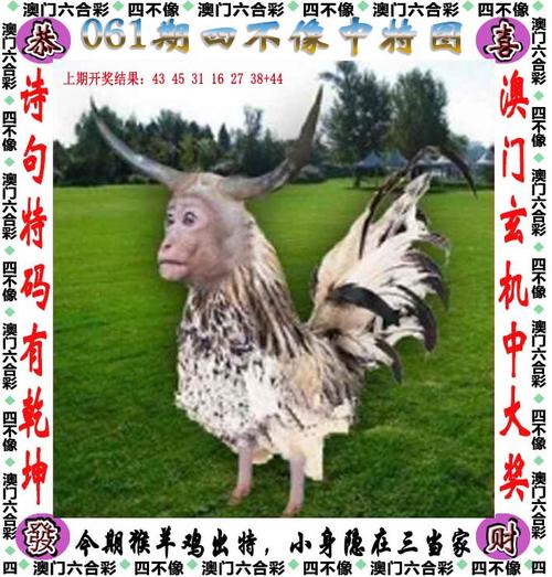 2025澳门天天开好彩大全2023:山体滑坡19人被困