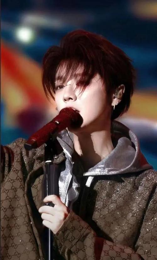 澳门资料百科:鹿晗演唱会审批通过