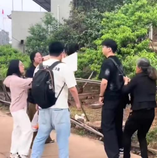 澳彩资料免费提供资料:老人上树摘枇杷被困